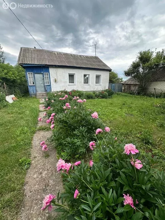 Дом в Рязанская область, городской округ Скопин, село Старые Кельцы, ... - Фото 0