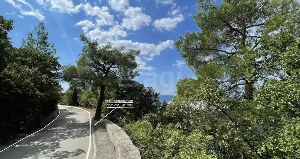 Участок в Крым, Ялта муниципальный округ, Парковое пгт ш. Парковое ... - Фото 1