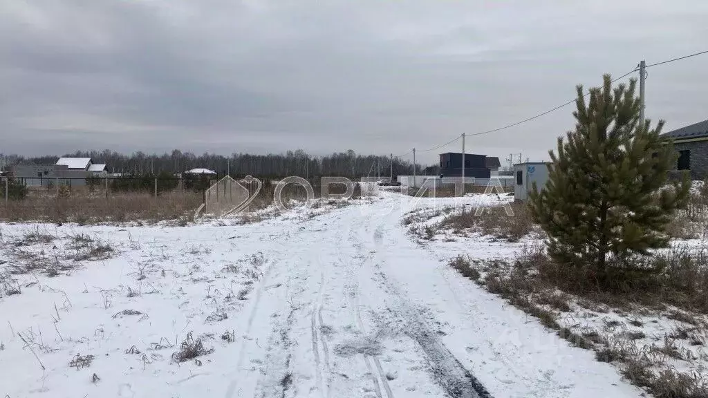 Участок в Тюменская область, Нижнетавдинский район, Царицыно СНТ  ... - Фото 0