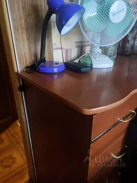 1-к кв. Нижегородская область, Нижний Новгород ул. Лескова, 54А (32.0 ... - Фото 2