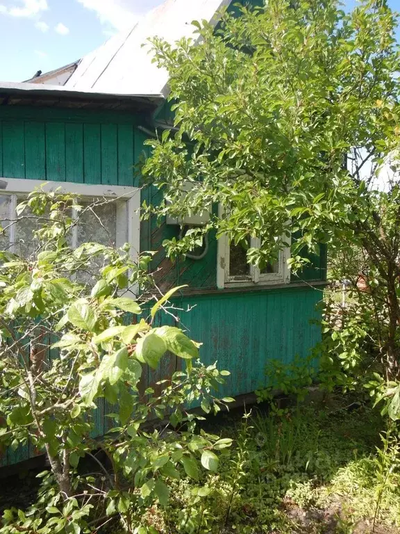 Дом в Новгородская область, Старорусский район, Новосельское с/пос, ... - Фото 1