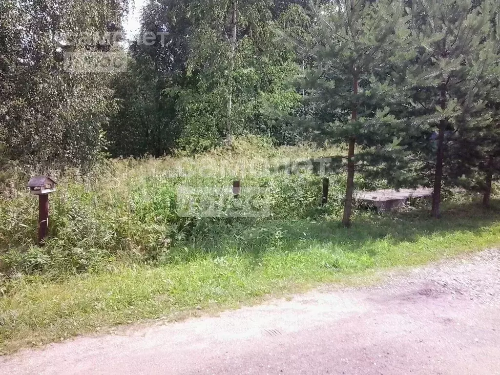 Участок в Ивановская область, Вичугский муниципальный округ, д. ... - Фото 2