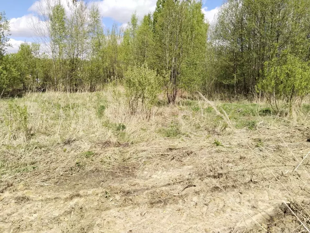 Участок в Московская область, Орехово-Зуевский городской округ, пос. ... - Фото 0