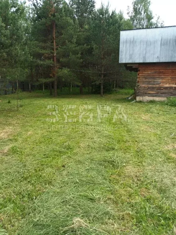 Участок в Владимирская область, Александровский район, Каринское ... - Фото 1