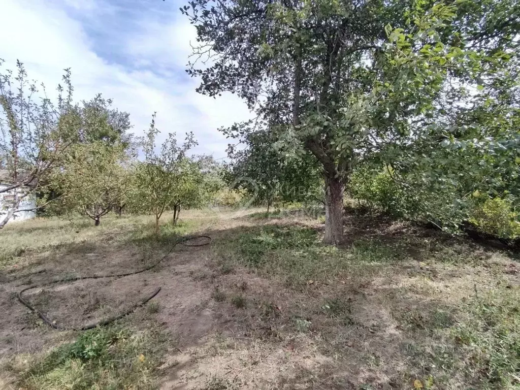 Участок в Волгоградская область, Волгоград Рекорд СНТ, 9-я линия (4.8 ... - Фото 1