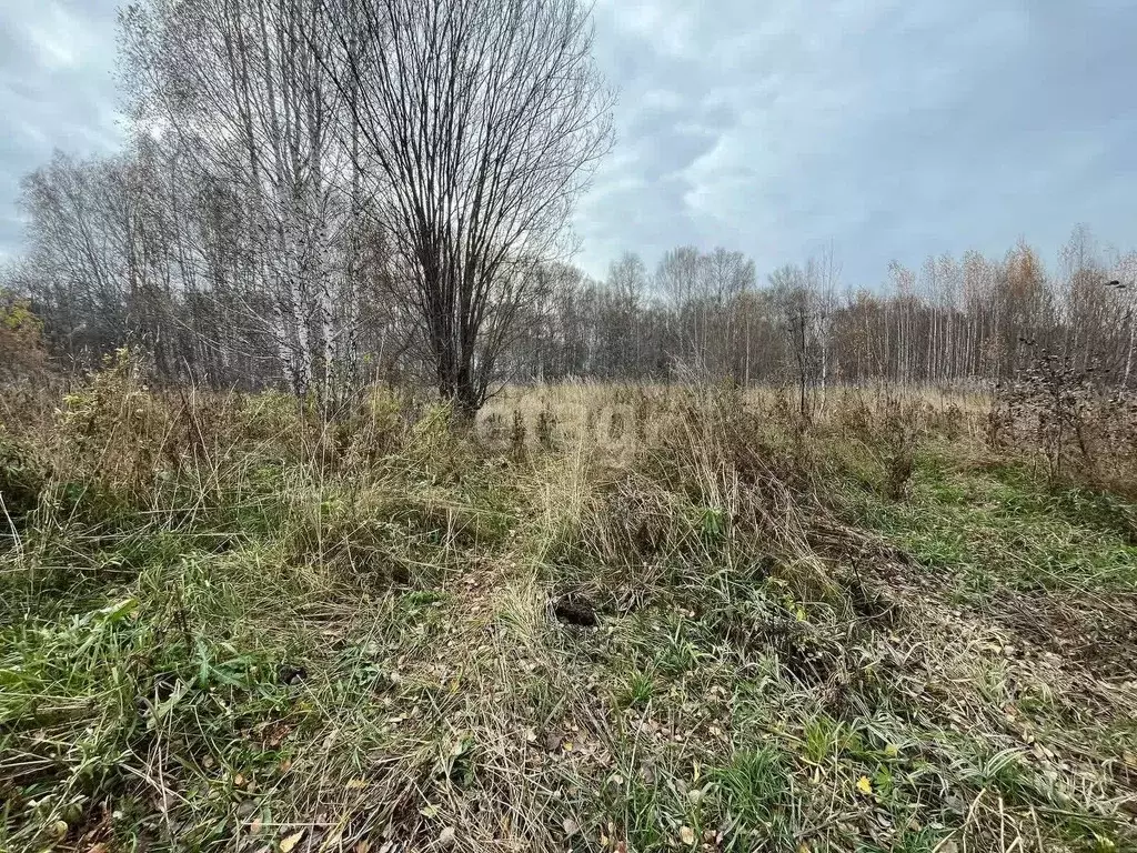 Участок в Новосибирская область, Новосибирский район, Плотниковский ... - Фото 1