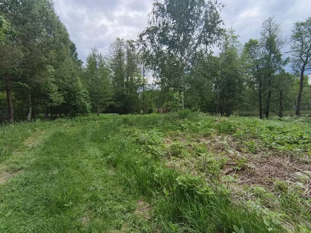 Участок в Ленинградская область, Приозерский район, Мельниковское ... - Фото 2