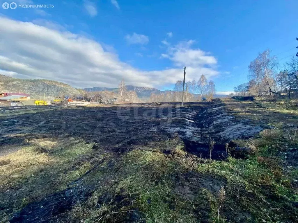 Участок в Чемальский район, ДПК Рублёвка, Садовая улица (11.4 м) - Фото 1