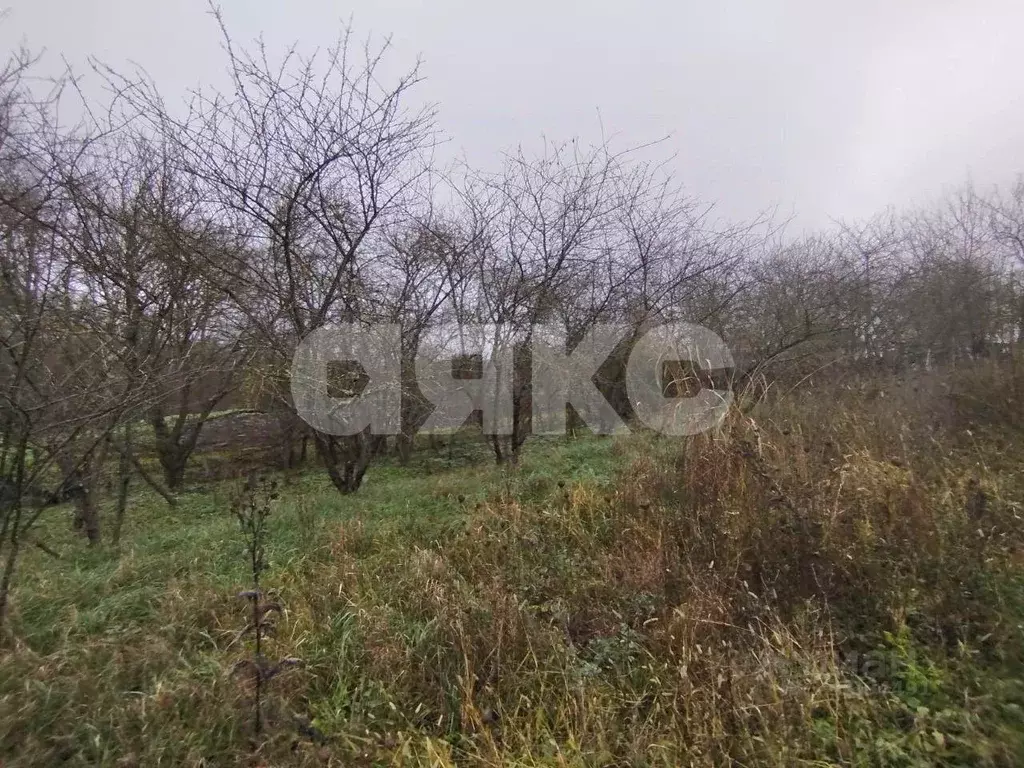 Участок в Краснодарский край, Ленинградский муниципальный округ, пос. ... - Фото 1