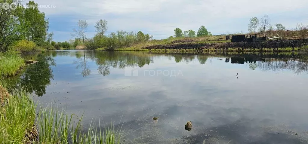 Участок в Кубовинский сельсовет, СНТ Транспортник, 97/2 (4.6 м) - Фото 0