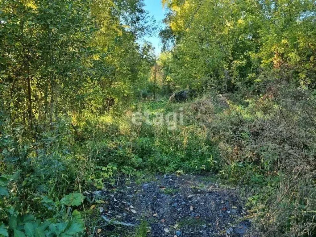 Участок в Алтай, Майминский район, пос. Рыбалка Чуйская ул. (14.0 ... - Фото 0