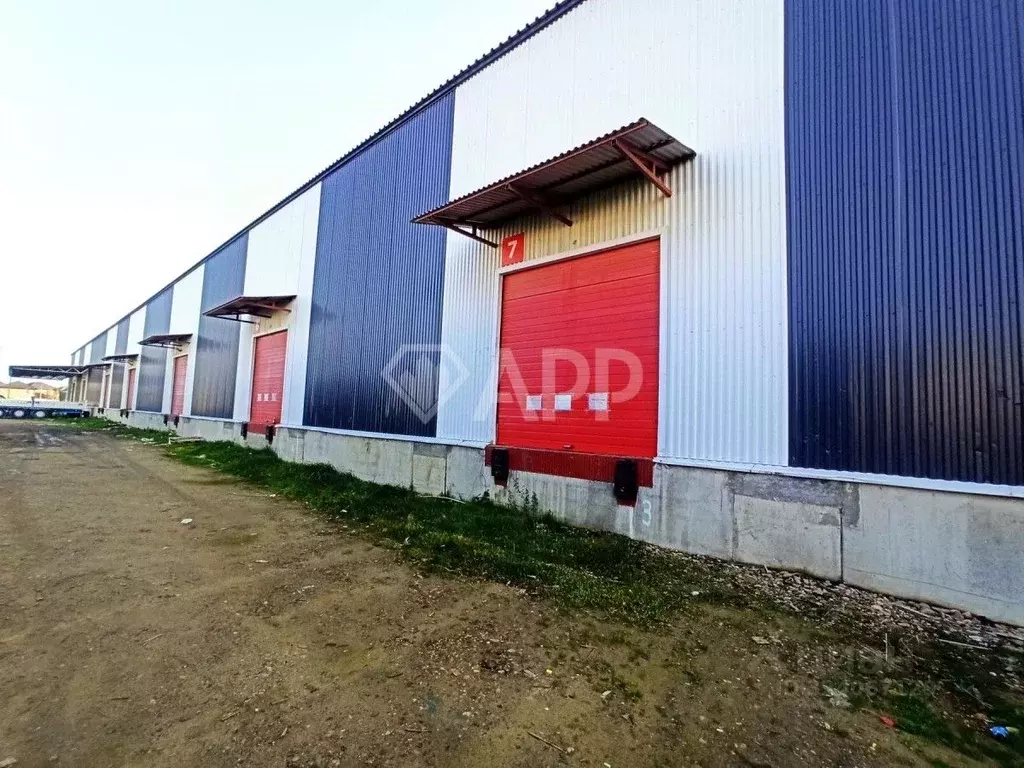 Склад в Краснодарский край, Краснодар Центральный мкр, ул. Буденного, ... - Фото 2