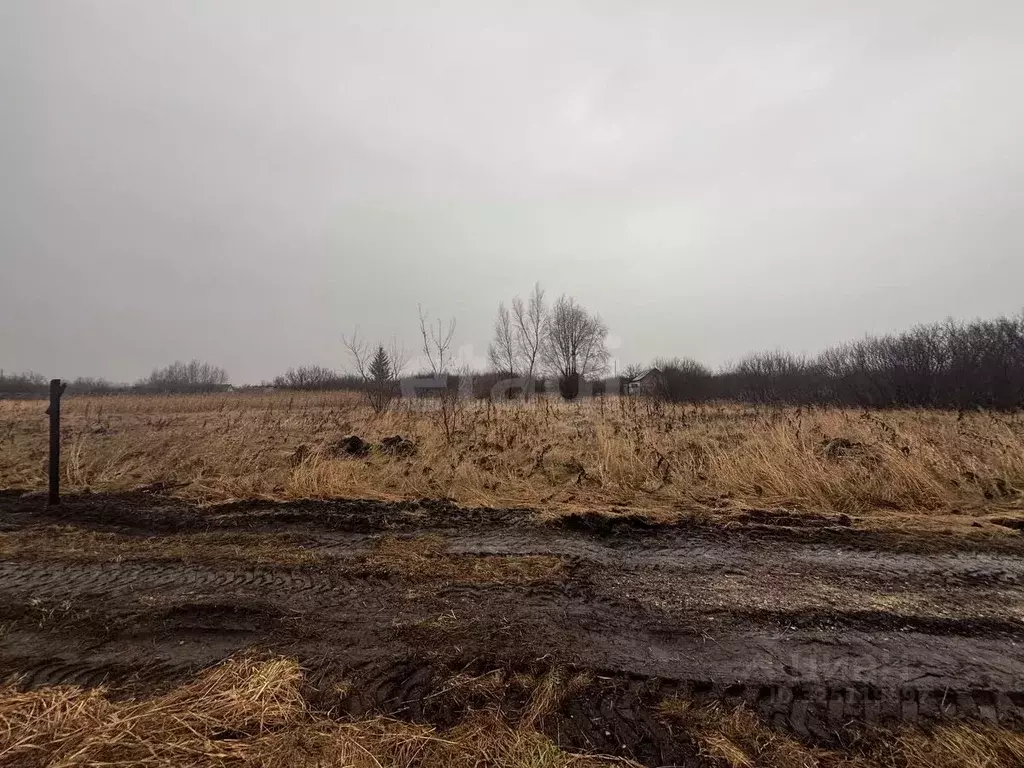 Участок в Башкортостан, Стерлитамакский район, Октябрьский сельсовет, ... - Фото 2