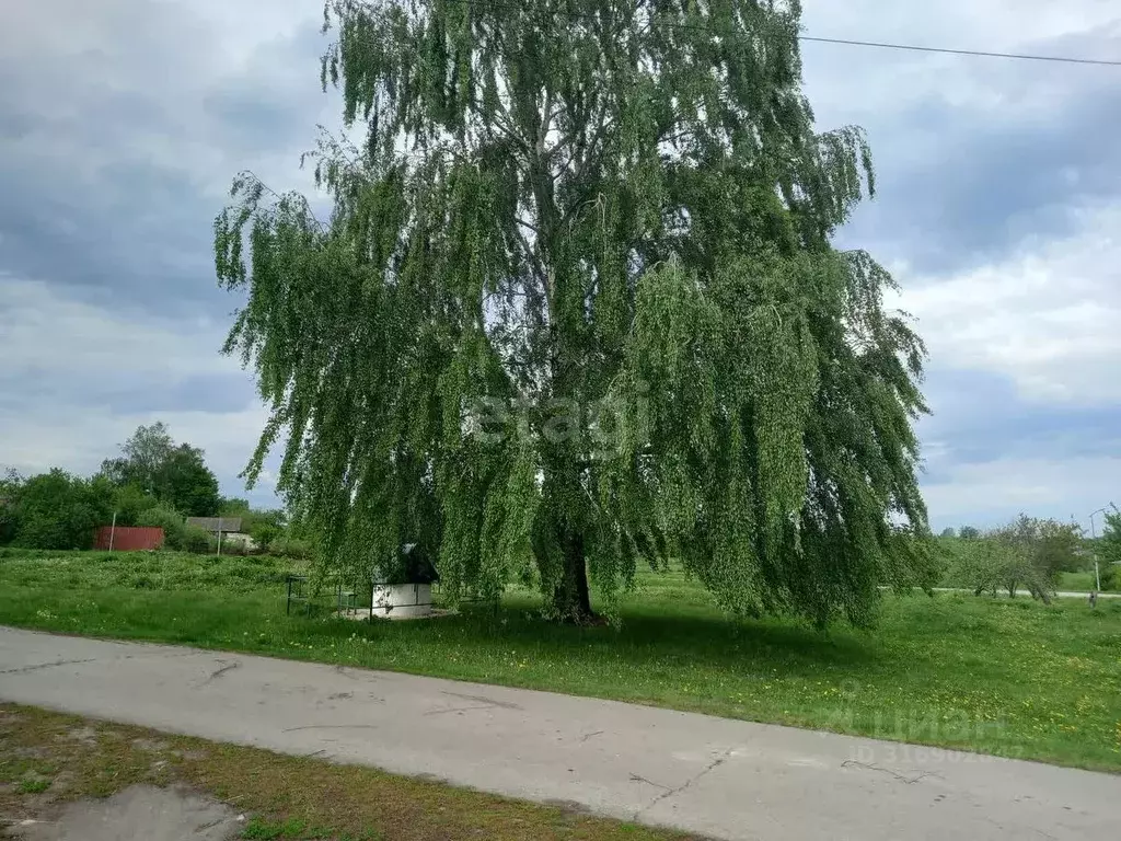 Дом в Белгородская область, Губкинский городской округ, с. Истобное ... - Фото 2