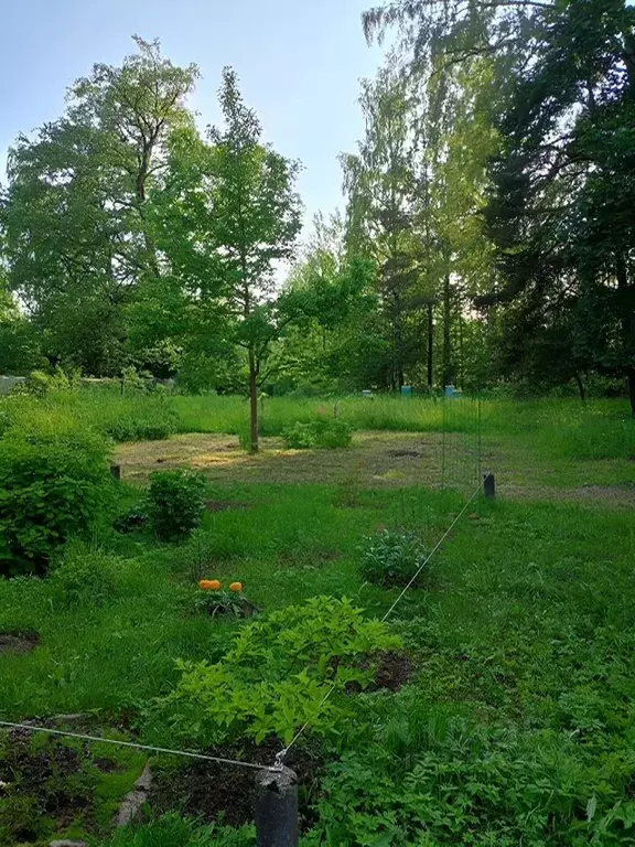 Участок в Санкт-Петербург Староорловская ул., 48 (21.0 сот.) - Фото 0