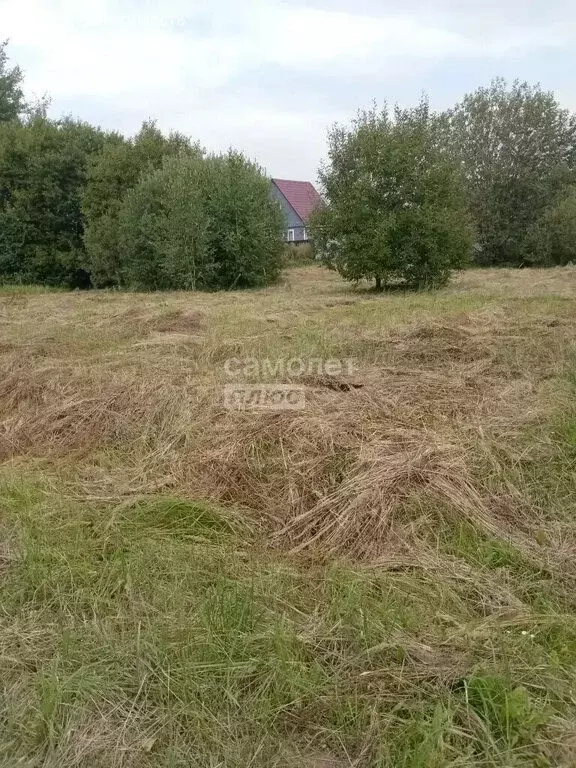 Участок в Московская область, Раменский муниципальный округ, квартал ... - Фото 2