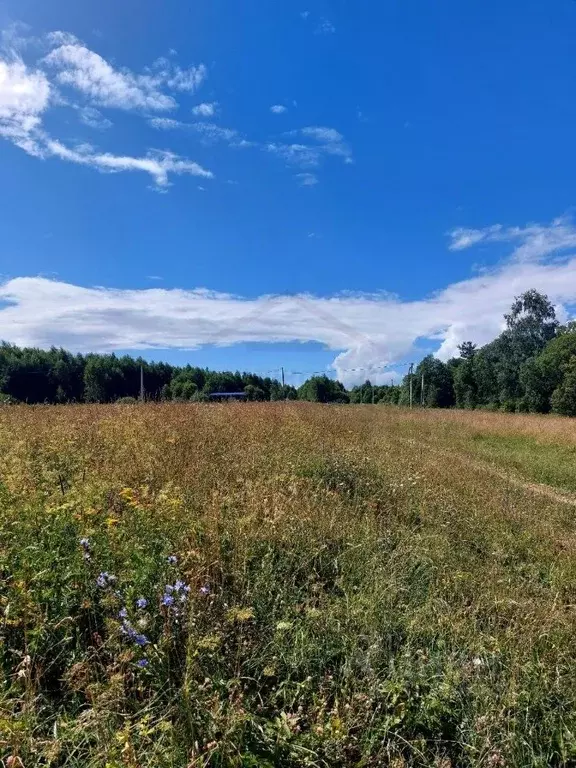 Участок в Калужская область, Калуга городской округ, д. Матюнино  ... - Фото 2