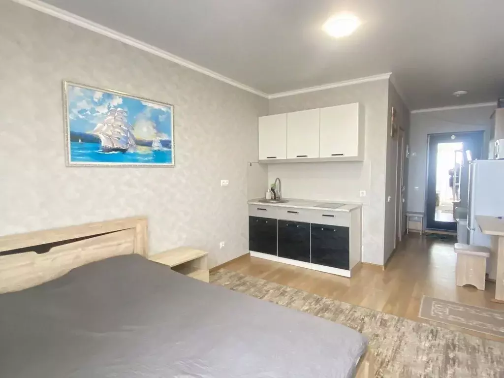 Студия Краснодарский край, Анапа Владимирская ул., 154к4 (26.0 м) - Фото 1