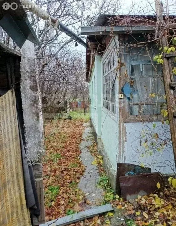 Дом в Доброе, Береговая улица (48 м) - Фото 2