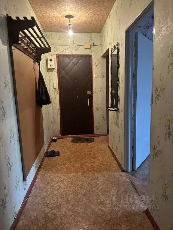 2-к кв. Воронежская область, Воронеж ул. 60-й Армии, 31 (54.0 м) - Фото 2