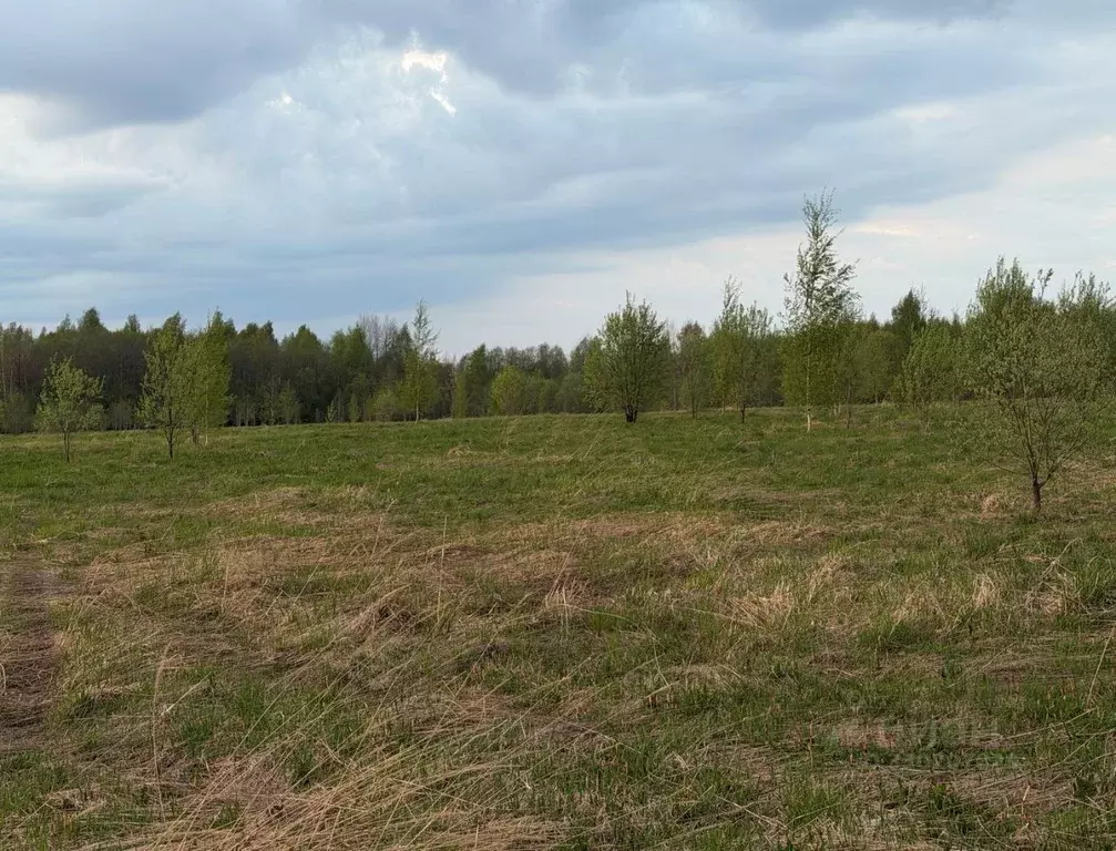 Участок в Вологодская область, Череповецкий район, Воскресенское ... - Фото 2