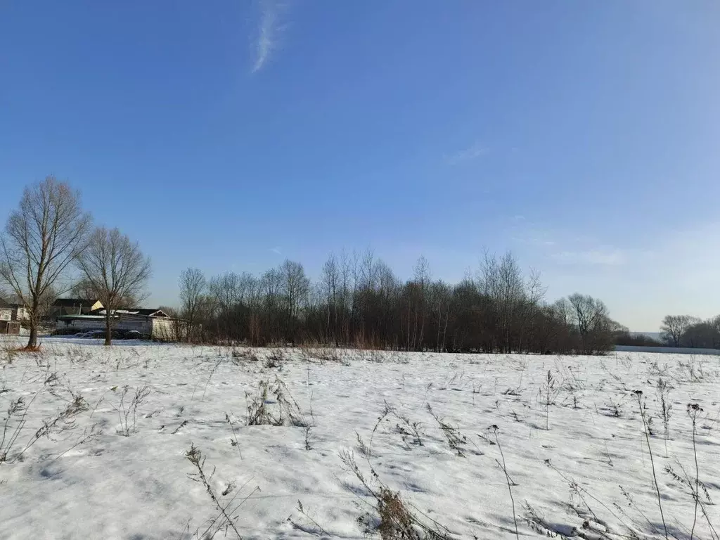 Участок в Московская область, Ленинский городской округ, с. Остров ул. ... - Фото 2