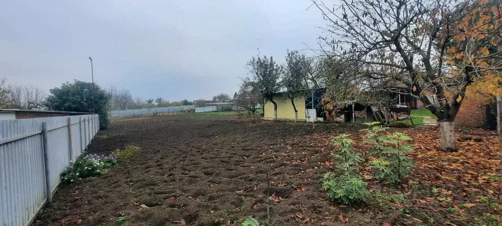 Участок в Краснодарский край, Динской район, Нововеличковское с/пос, ... - Фото 1