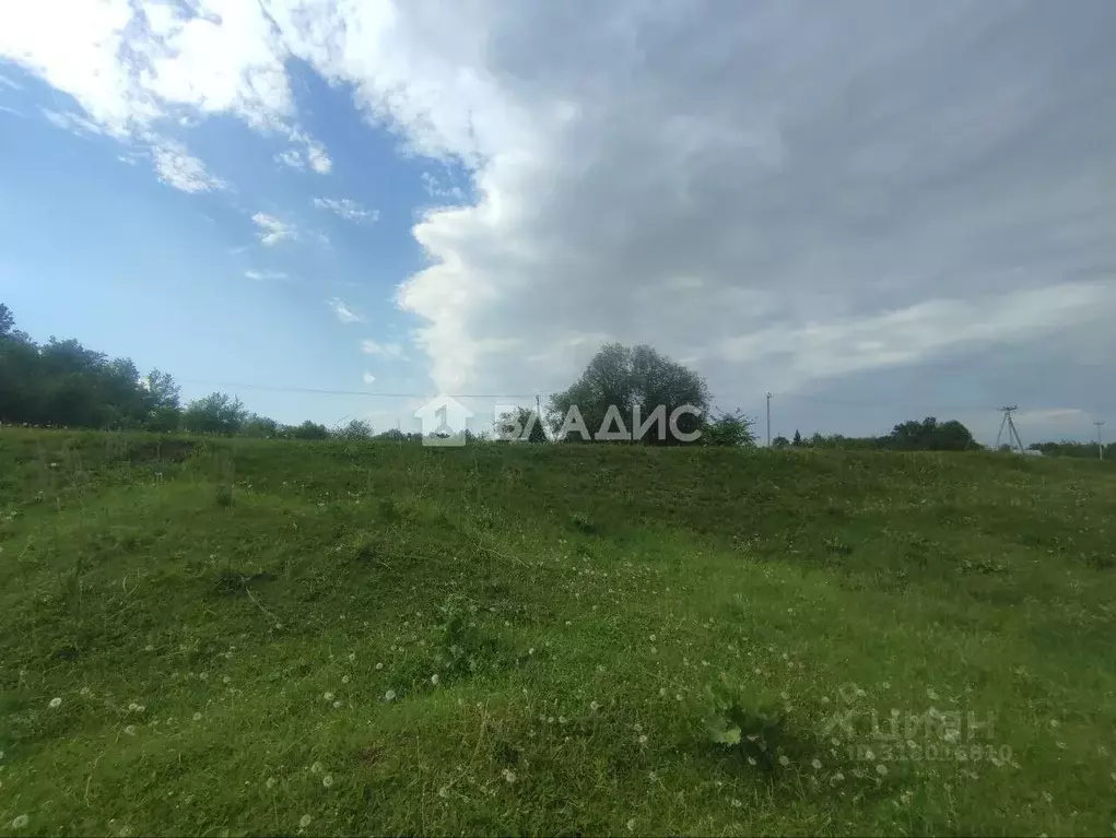 Участок в Нижегородская область, Богородский муниципальный округ, д. ... - Фото 1