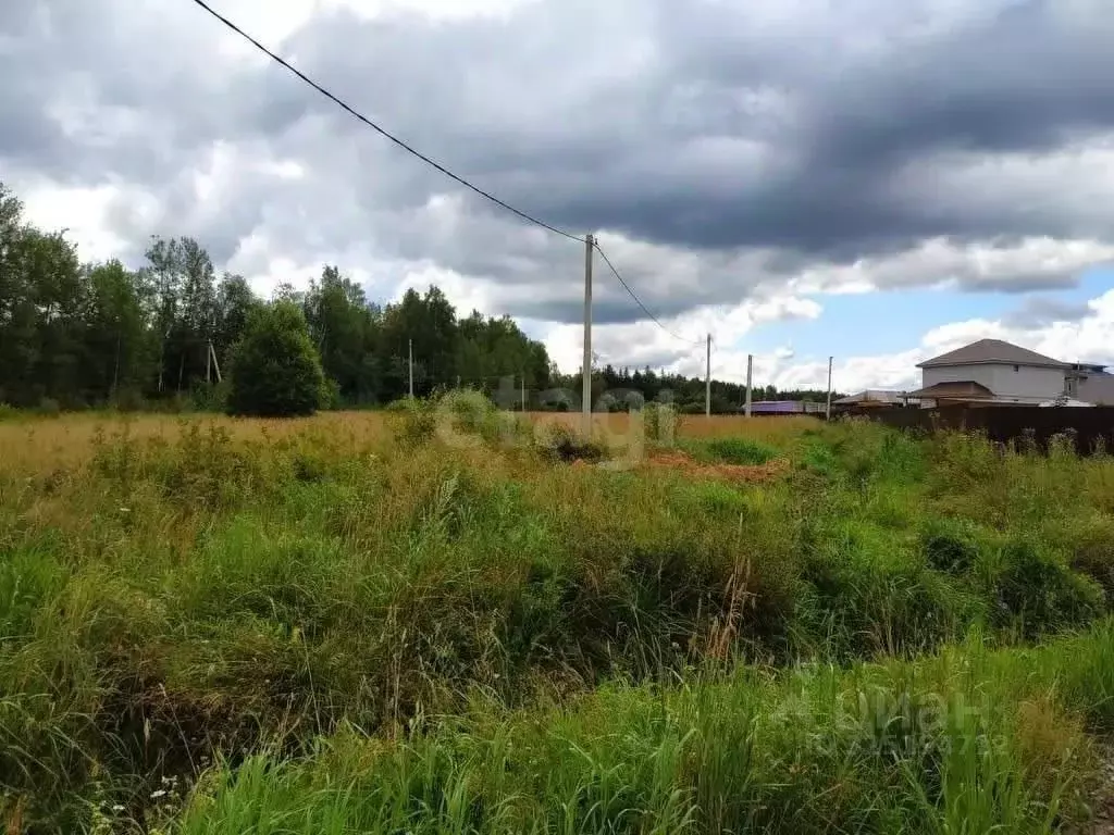 Участок в Московская область, Рузский муниципальный округ, д. Макеиха  ... - Фото 2