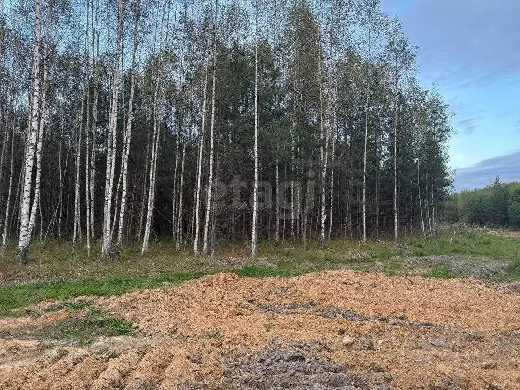 Участок в Тверская область, Конаковский муниципальный округ, Деревня ... - Фото 1