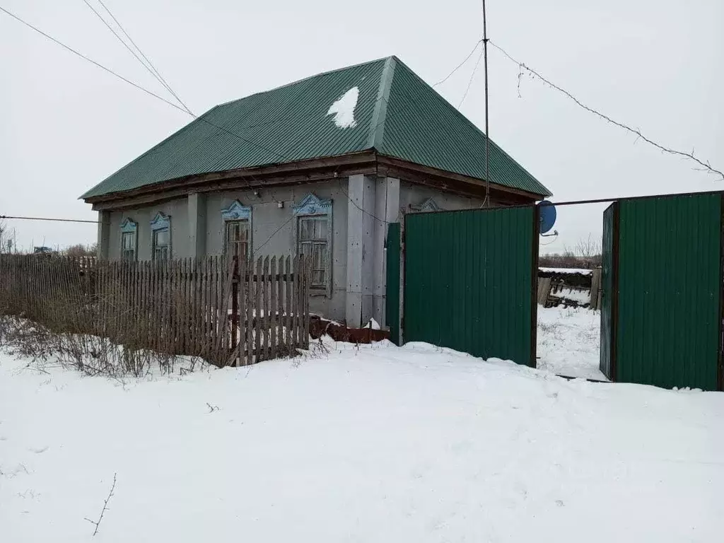 Дом в Самарская область, Борский район, с. Долматовка ул. ... - Фото 1