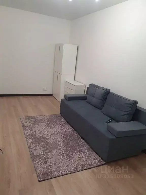 Студия Московская область, Балашиха Железнодорожный мкр, ул. ... - Фото 1