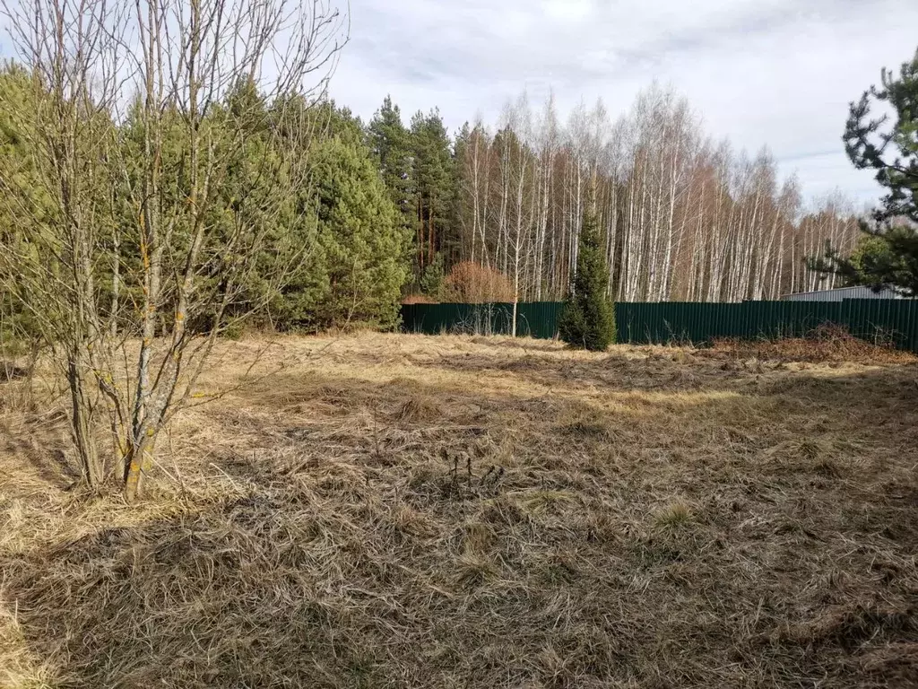 Участок в Московская область, Орехово-Зуевский городской округ, д. ... - Фото 0