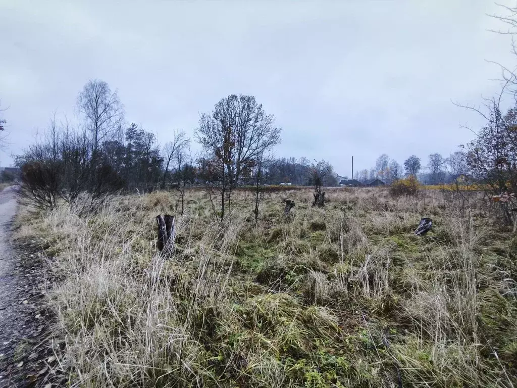 Участок в Псковская область, Печорский муниципальный округ, д. Лавры  ... - Фото 2