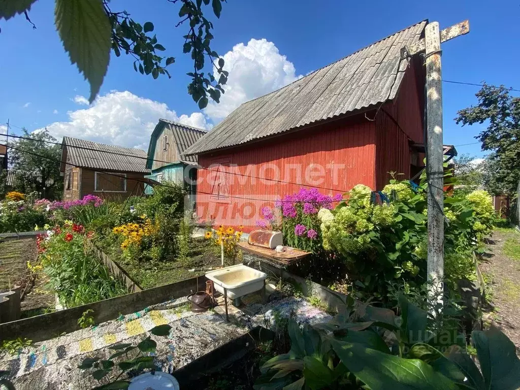 Участок в Московская область, Егорьевск Дорожник садовое товарищество, ... - Фото 2