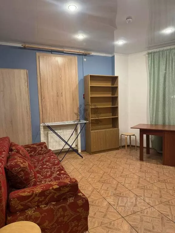 Студия Санкт-Петербург ул. Ворошилова, 29к2 (25.0 м) - Фото 1