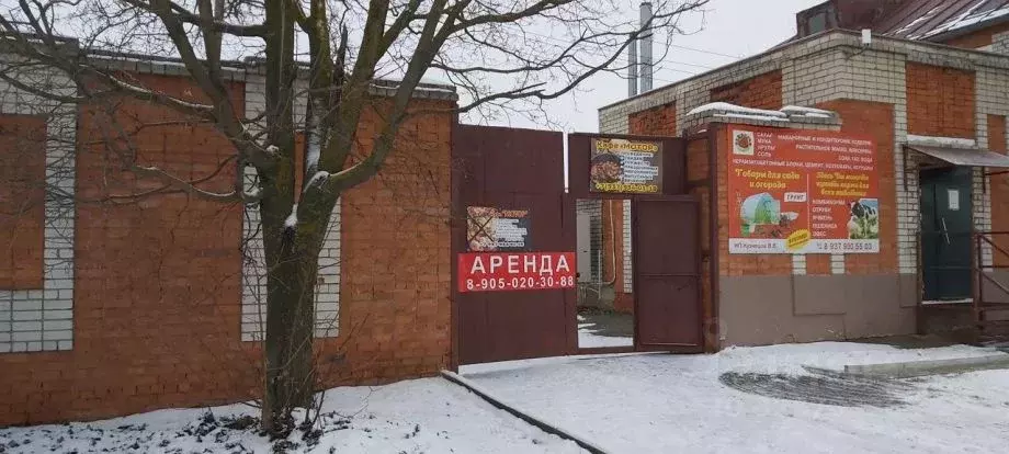 Помещение свободного назначения в Марий Эл, Параньга пгт ул. Гагарина, ... - Фото 2