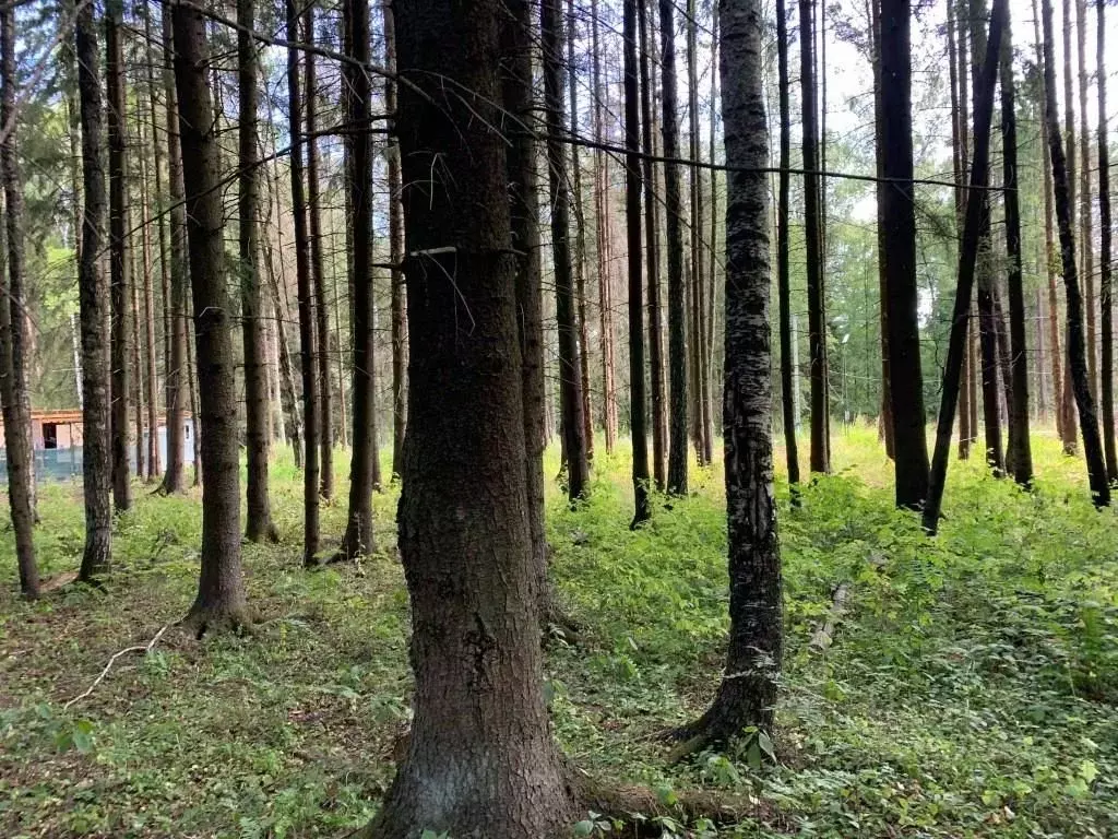 Участок в Московская область, Химки Новогорск Лес ТСН,  (17.5 сот.) - Фото 1