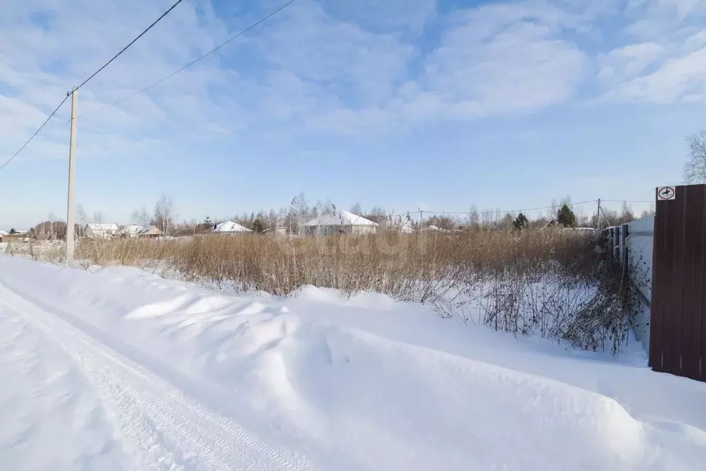 Участок в Тюменская область, Тюмень Россиянка садовое товарищество, ... - Фото 1