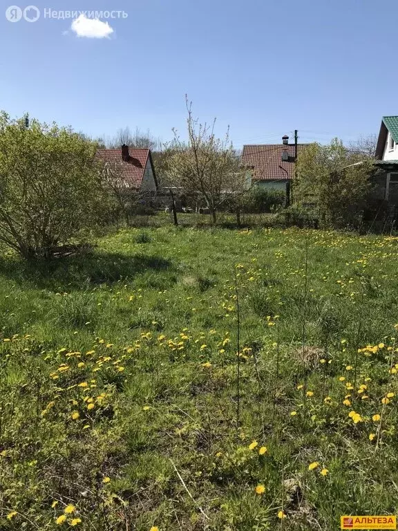 Участок в Калининградская область, Зеленоградский муниципальный округ, ... - Фото 1