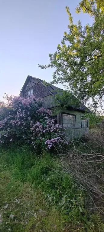 Дом в Владимирская область, Суздальский район, Боголюбовское ... - Фото 0