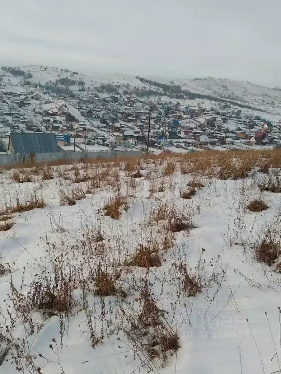 Участок в Алтай, Майминский район, пос. Алферово ул. Шаркова (8.9 ... - Фото 0