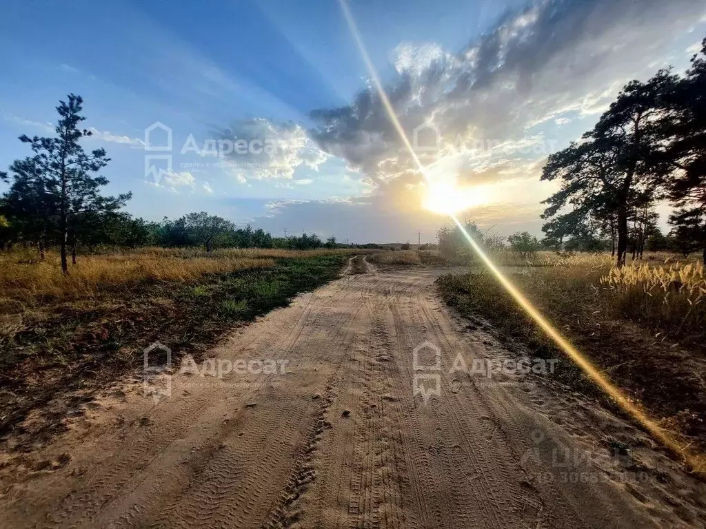 Дом в Волгоградская область, Волгоград Мирный СНТ,  (17 м) - Фото 2