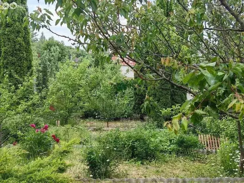 Дом в Рамонский район, Айдаровское сельское поселение, село Чертовицы ... - Фото 0