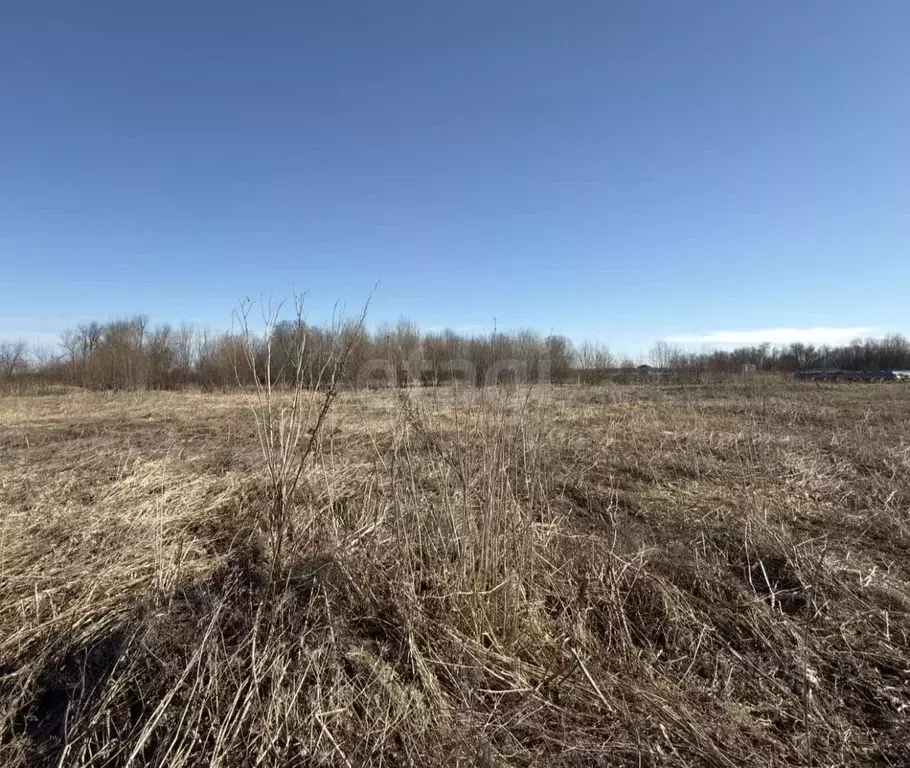 Участок в Архангельская область, Архангельск пос. Цигломень,  (10.0 ... - Фото 1