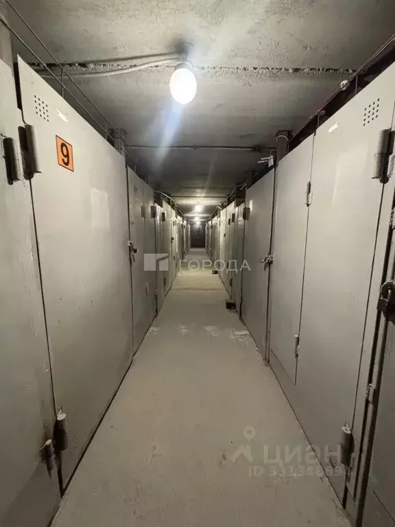 Помещение свободного назначения в Новосибирская область, Новосибирск ... - Фото 2