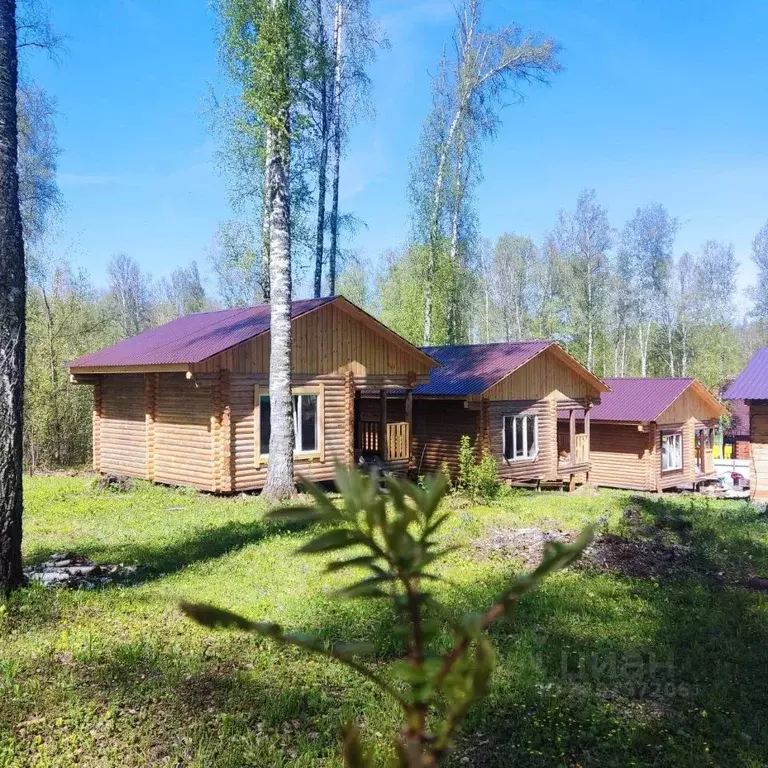 Дом в Алтайский край, Алтайский район, пос. Катунь Сибирская ул., 4А ... - Фото 2