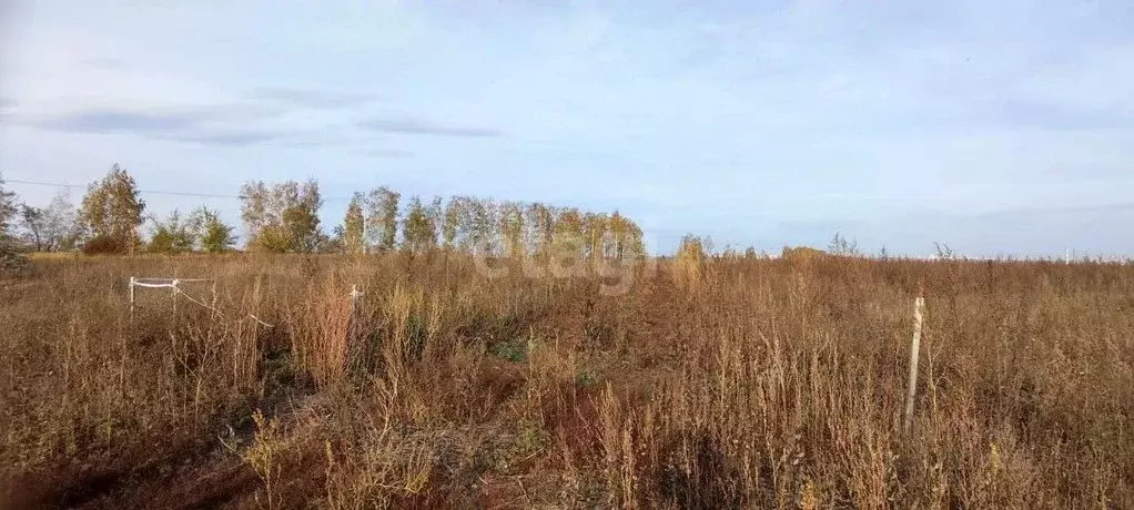 Участок в Ульяновская область, Ульяновск Московское ш. (8.0 сот.) - Фото 1