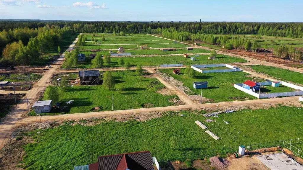 Участок в Ленинградская область, Всеволожский район, Романовское ... - Фото 1