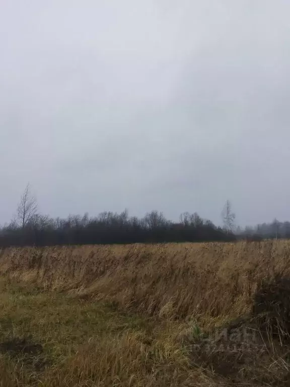 Участок в Московская область, Шатура пл. Ленина (15.0 сот.) - Фото 1